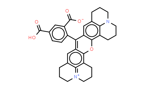 5(6)-Carboxy-X- rhodamine; 5(6)-ROX