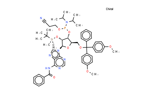 5'-DMT-2'-TBDMS-N6-Bz-rA phosphoramidite