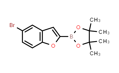 5-Bromobenzofuran-2-boronic acid pinacol ester