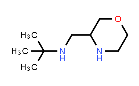 3-Morpholinemethanamine, N-(1,1-dimethylethyl)-