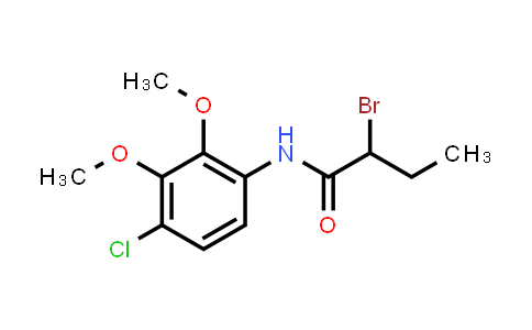 2-Bromo-n-(4-chloro-2,3-dimethoxyphenyl)butanamide