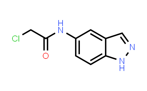 2-Chloro-N-1H-indazol-5-ylacetamide