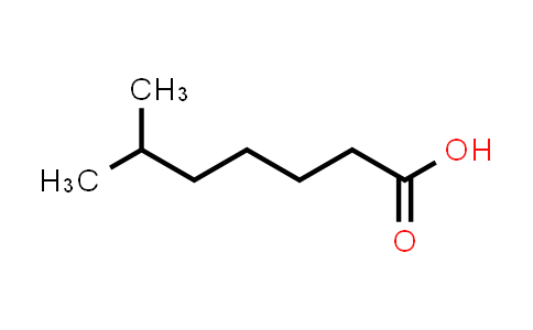 6-methylheptanoic acid