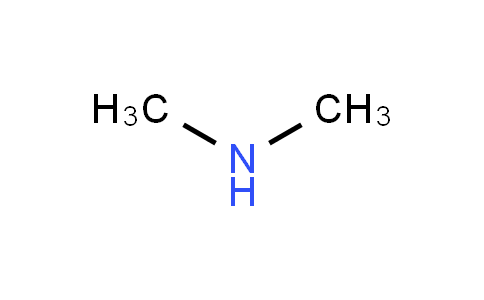 Dimethylamine  aq