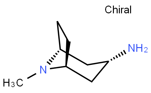 endo-8-Methyl-8-azabicyclo[3.2.1]octan-3-amine